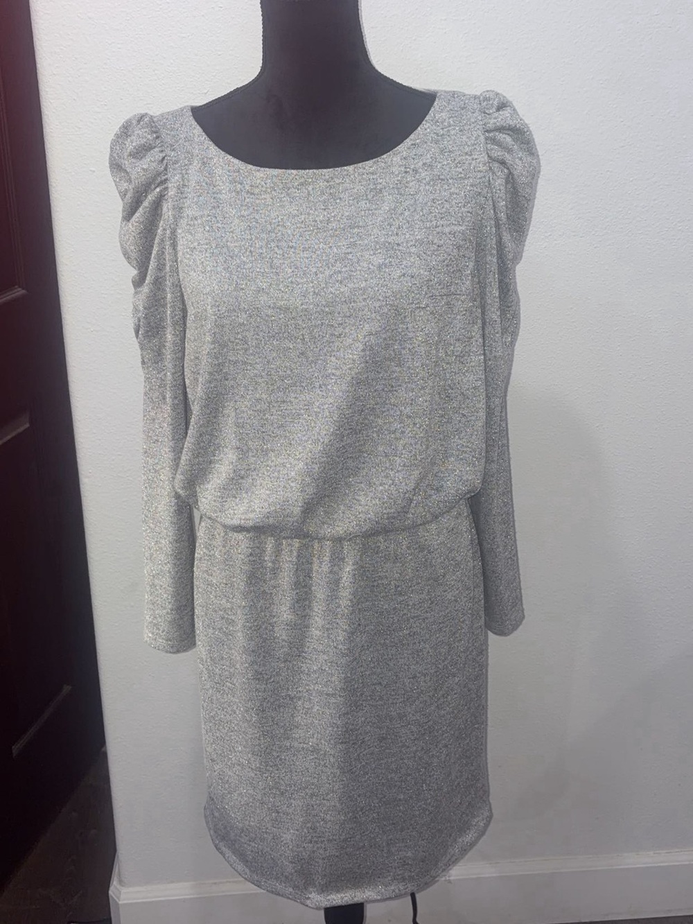 Jessica Howard Silver Long Sleeve Blouson Dress